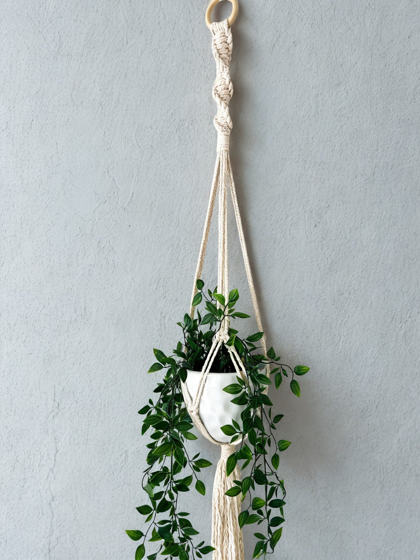Macrame Plant Hanger (pot included)