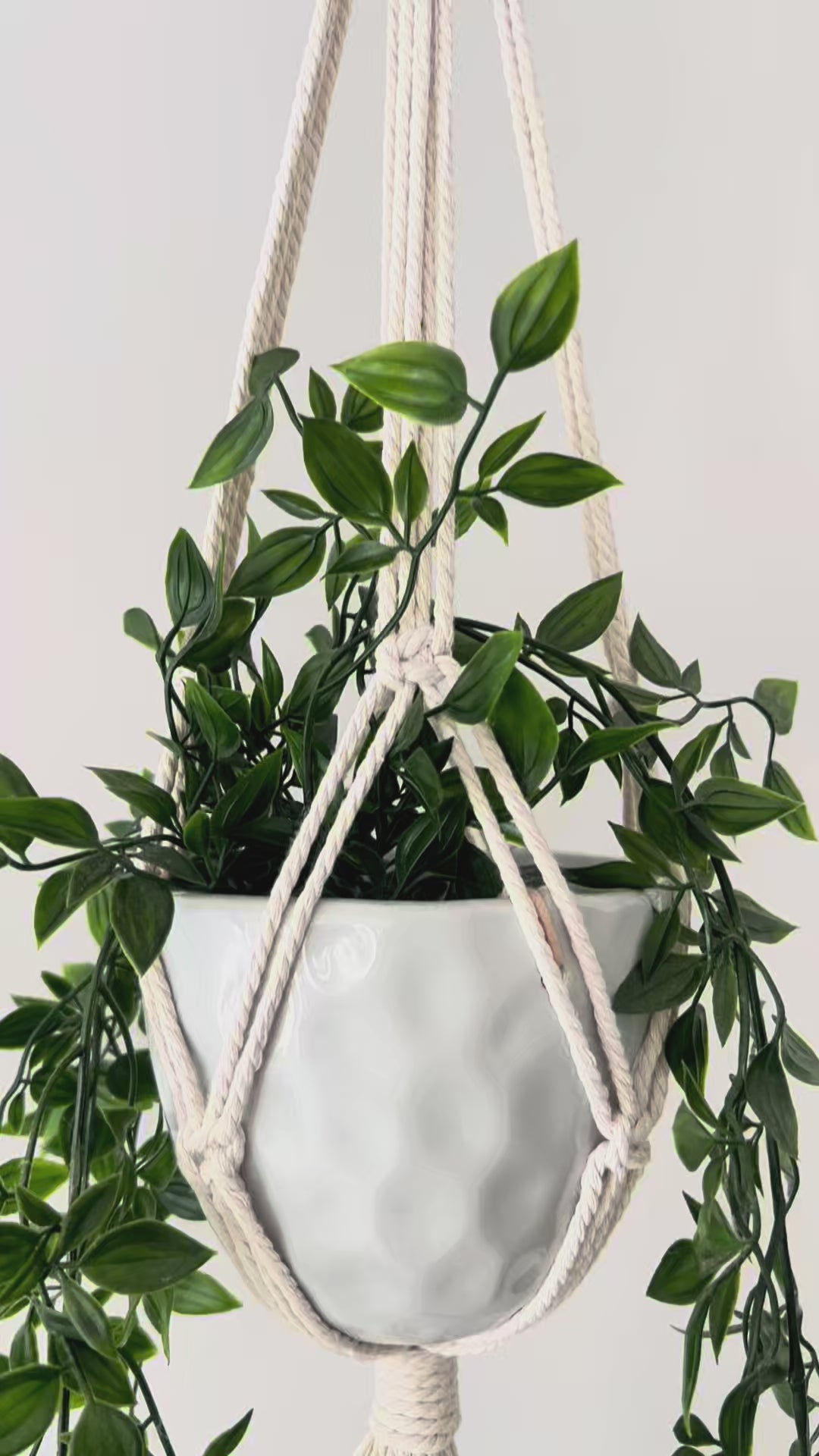 Macrame Plant Hanger (pot included)